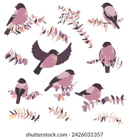 vector drawing birds and tree branches with leaves, hand drawn bullfinches, set of isolated nature design elements