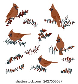 vector drawing birds and tree branches with leaves, hand drawn nothern cardinals, set of isolated nature design elements