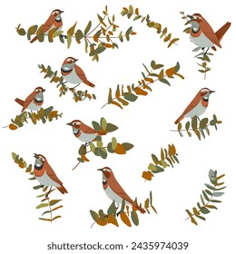 vector drawing birds and tree branches with leaves, hand drawn bluethroat s, set of isolated nature design elements