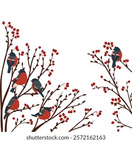 vector drawing birds at winter apple tree branches with red fruits, hand drawn bullfinches, isolated nature design element