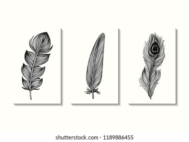 vector drawing black feather lines pattern background collection for brochure banner and publication