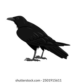 vector drawing black raven, crow, dark bird isolated at white background, hand drawn illustration