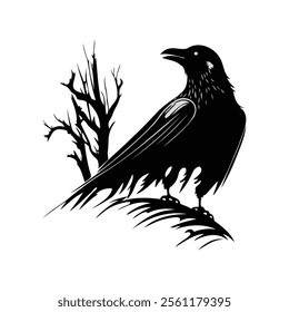 vector drawing black raven, crow, dark bird isolated at white background, hand drawn illustration