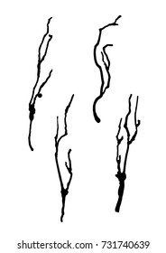 Vector drawing. Black silhouette of branches on a white background. The flow of water.