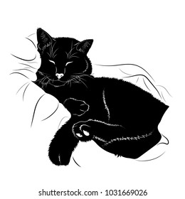 Vector drawing. Black silhouette of a sleeping cat