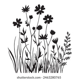 vector drawing, black silhouette of wildflowers and herbs. simple hand drawing