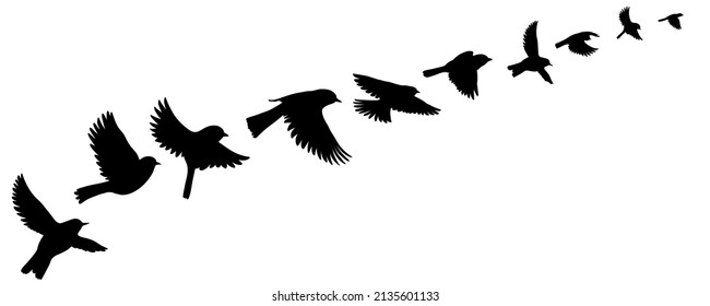 vector drawing black silhouettes of flying birds, flock of birds, hand drawn songbirds, isolated nature design elements
