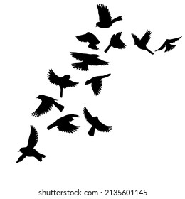 vector drawing black silhouettes of flying birds, flock of birds, hand drawn songbirds, isolated nature design elements