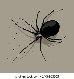 Vector drawing of black spider with shadow and dark splashes