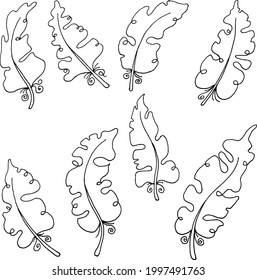 vector drawing black and white banana leaf set