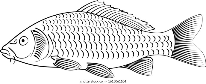 Vector drawing black and white fish