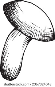 Vector drawing of black and white graphic mushroom, hand drawn forest mushroom, medicinal plant, magic, toxic mushroom