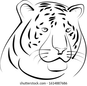 Vector drawing black and white tiger