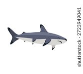 vector drawing blacknose shark isolated at white background, hand drawn illustration