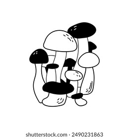 Vector drawing of black-white mushrooms, forest edible fungi, isolated on white background. Line art fungus illustration