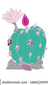 Cactus domésticos de dibujo vectorial
 Aislado sobre un fondo blanco. Lápiz de dibujo aislado de una planta doméstica para imprimir en objetos, ropa, embalaje, camas, diseñadores