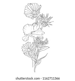 22 Line Drawing Of Boquet Images, Stock Photos & Vectors 