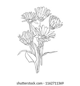 22 Line Drawing Of Boquet Images, Stock Photos & Vectors | Shutterstock