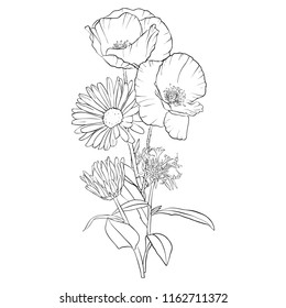 Vector Drawing Boquet Wild Flowers Poppies Stock Vector (Royalty Free ...