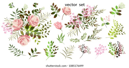 Vector drawing.  Botanical illustration. The composition of pink roses, flowers , colorful leaves , wild herbs. A set of bouquets, flower arrangements . 