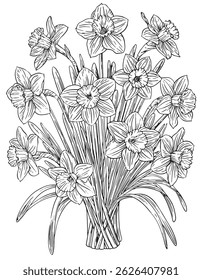vector drawing of a bouquet of daffodils, on an isolated white background