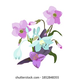 Vector drawing of a bouquet of flowers with buds and leaves isolated on a white background.