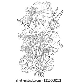 vector drawing bouquet of flowers, floral composition, hand drawn illustration