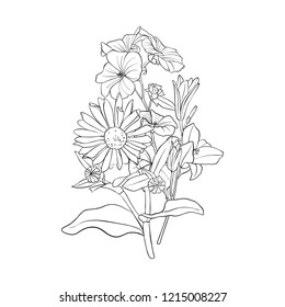 vector drawing bouquet of flowers, floral composition, hand drawn illustration