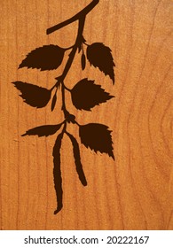 vector drawing of the branch of the birch on wood background