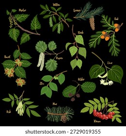 Vector que dibuja la rama de árboles con hojas verdes, semillas y frutas, en el fondo negro, ilustración dibujada a mano