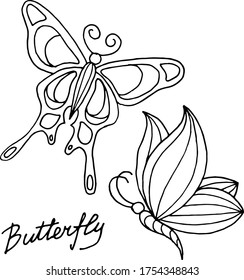 Vector drawing of bright butterflies. Nature. Sketch, illustration. decorative