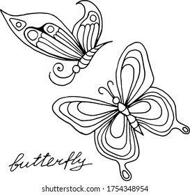 Vector drawing of bright butterflies. Nature. Sketch, illustration. decorative