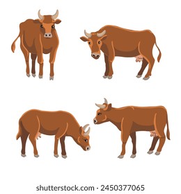 vector drawing brown cows, farm animal isolated at white background, hand drawn illustration