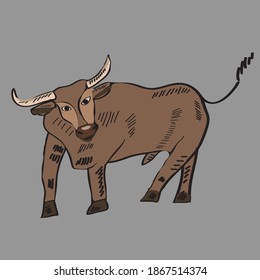 vector drawing of bull in flat style