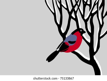 vector drawing bullfinch on tree