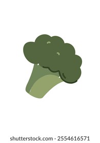 Vector drawing of a bunch of broccoli on a white background