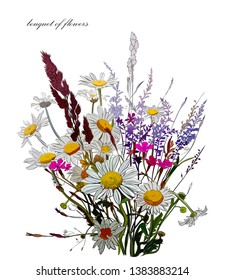 vector drawing bunch of daisies , graphic colour illustration, botanical sketch for postcard, posters, notebooks...