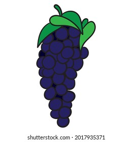 vector drawing of a bunch of grapes.