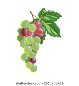 vector drawing bunch of green grape with leaf isolated at white background, hand drawn illustration