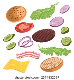 vector drawing burger ingredients, hand drawn food illustration