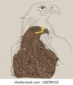 vector drawing bust brown eagle with its contour