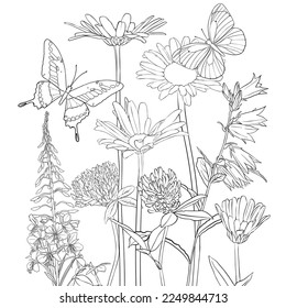 vector drawing butterflies and flowers, flowering meadow, black and white coloring page, hand drawn illustration