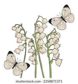 vector drawing butterflies   flowers  lily the valley  floral background  hand drawn natural illustration