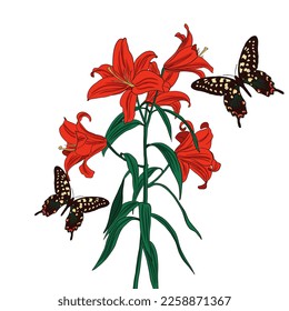 vector drawing butterflies   flowers  red lilies  floral background  hand drawn natural illustration