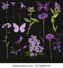 vector drawing butterflies and violet flowers, lilac, cormflowers,bells, larkspur and forget-me-nots, , floral elements at black background, hand drawn natural illustration