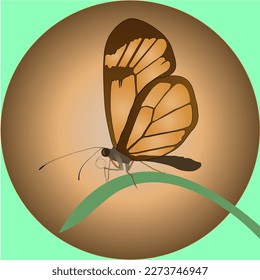 Vector drawing Butterfly on a blade of grass