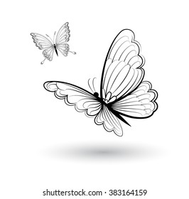 Vector drawing of butterfly on white background.