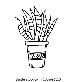 Vector drawing by hand of a home plant in a pot. On the topic of stay at home, Covid-19, home elements and activities. Doodle. Isolated on a white background.