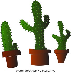 
vector drawing of cacti on a white background. doodle picture design for banner, package, fabric