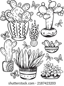 Vector drawing cacti and succulents